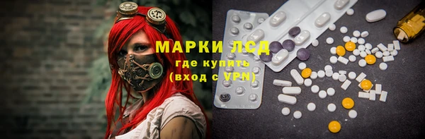 стаф Белокуриха