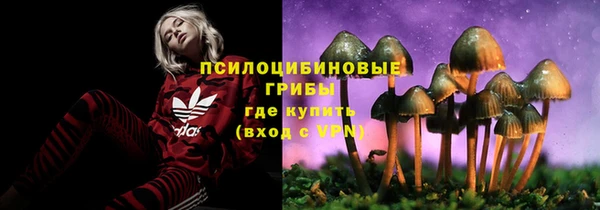 стаф Белокуриха
