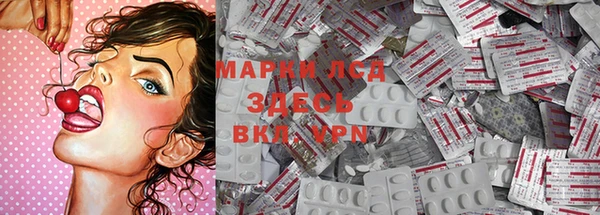стаф Белокуриха
