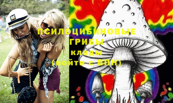 стаф Белокуриха